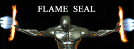 Flame seal - header